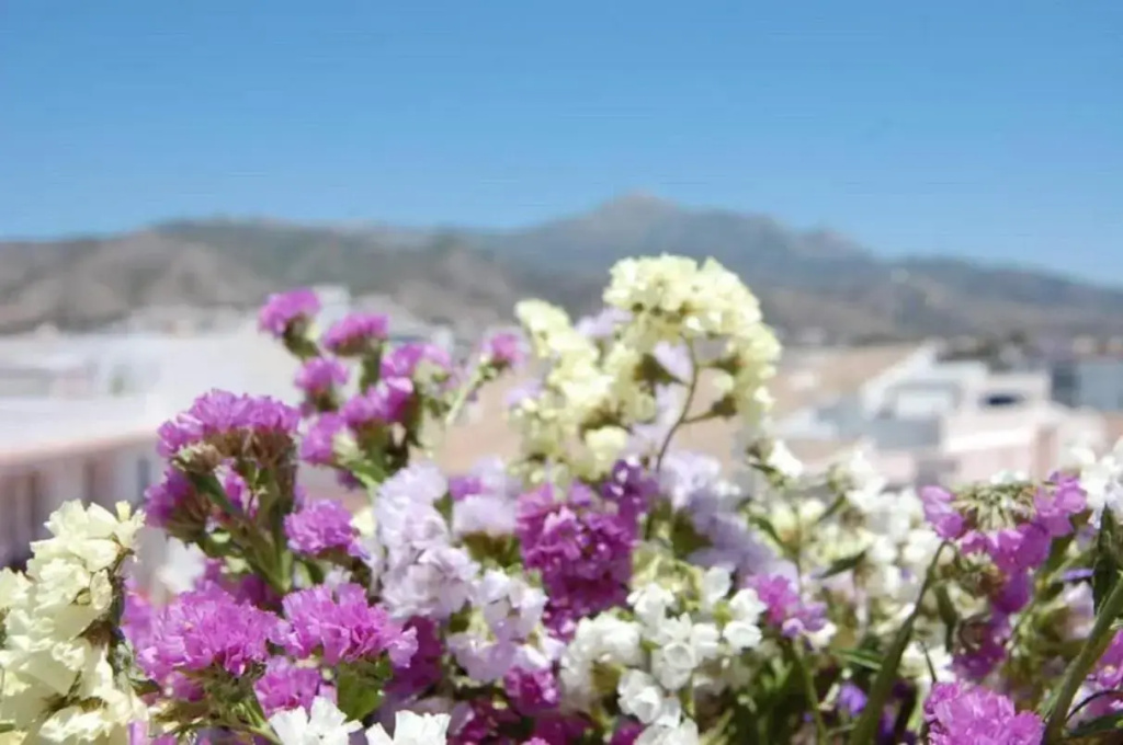 Fantastic 1 bedroom apartment in the centre of Nerja