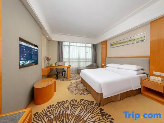 Vienna Hotel Foshan Goaxin District - Chambres