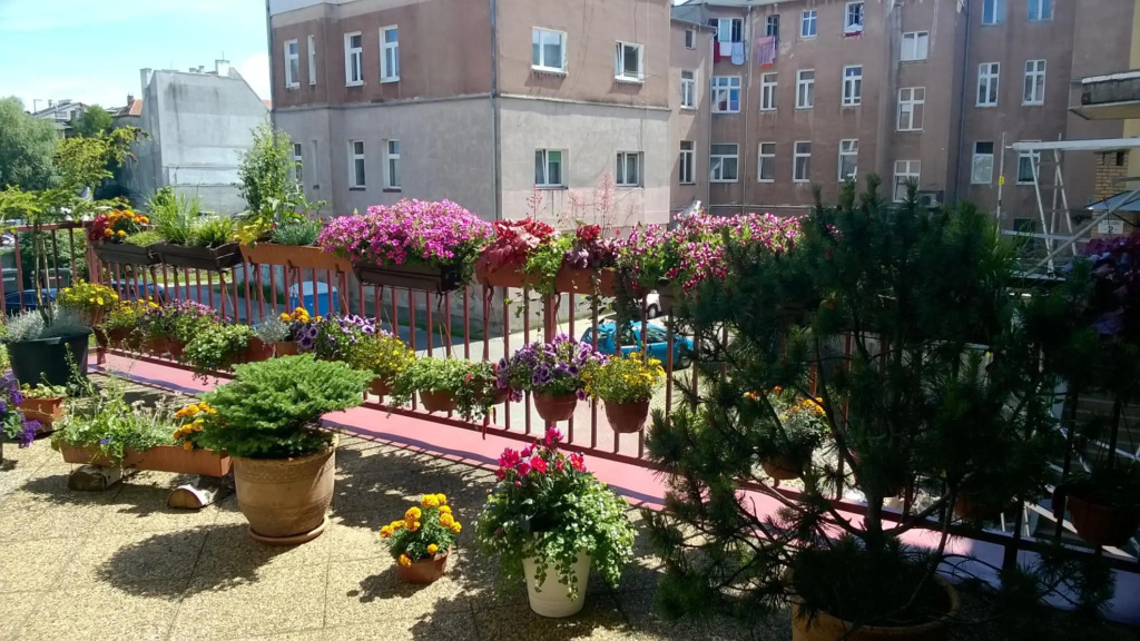 Hotel Ottaviano - Général