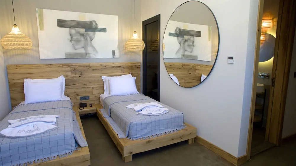 Standard Double room (twin beds)