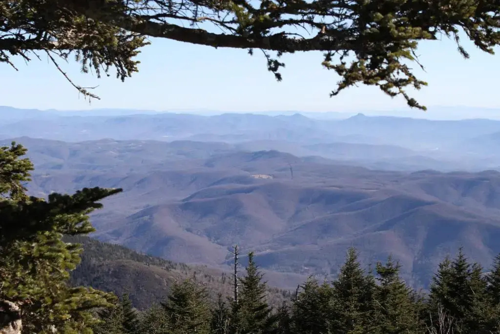Albert's Lodge at Mt. Mitchell - фото 16