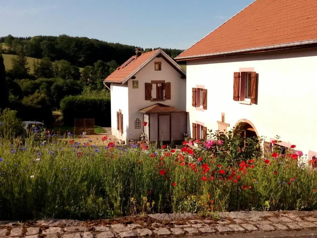 Gite Laveline-du-Houx, 2 pièces, 3 personnes - FR-1-589-141