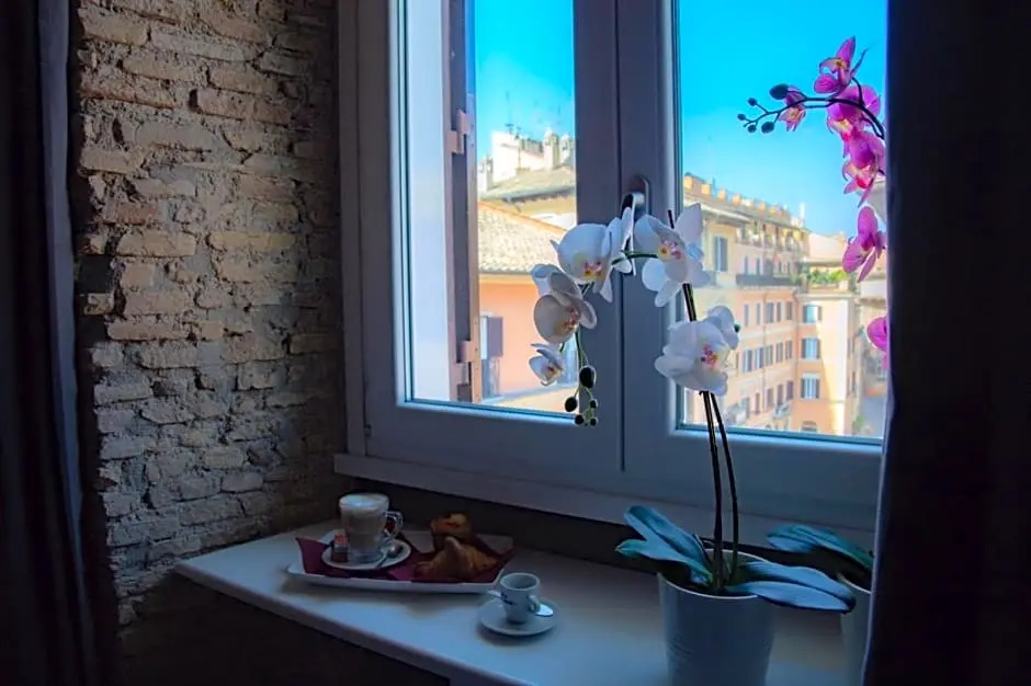Balcony & Terrace