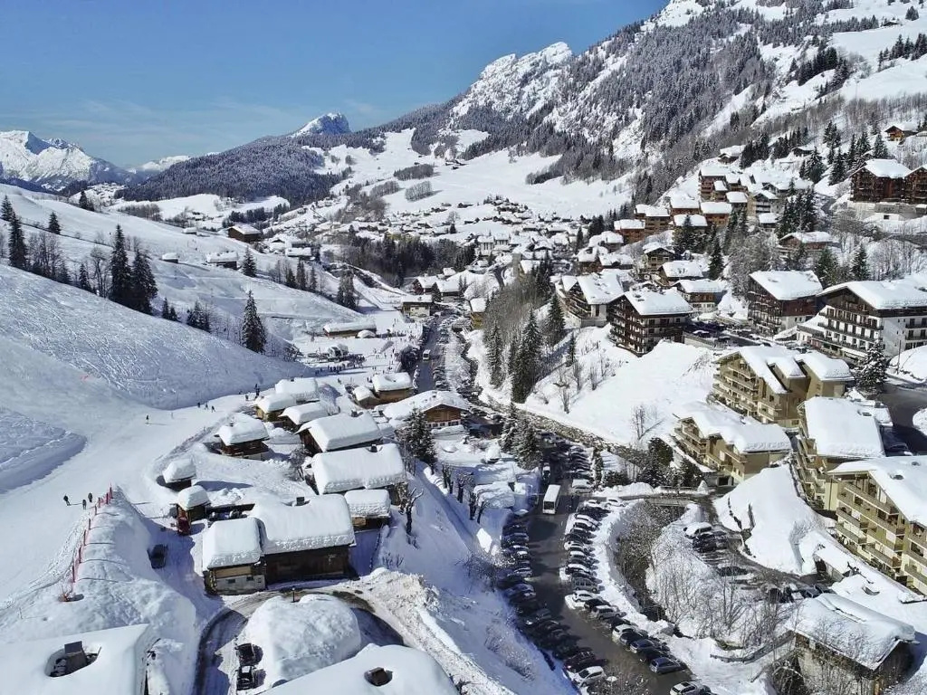 Voir la photo 4 — Appartement Le Grand-Bornand, 3 pièces, 8 personnes - FR-1-391-123