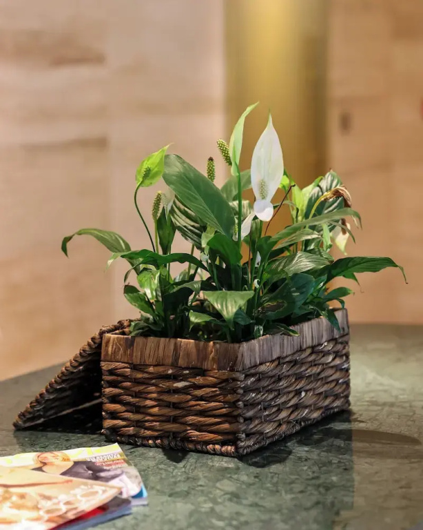 Hotel photo 48