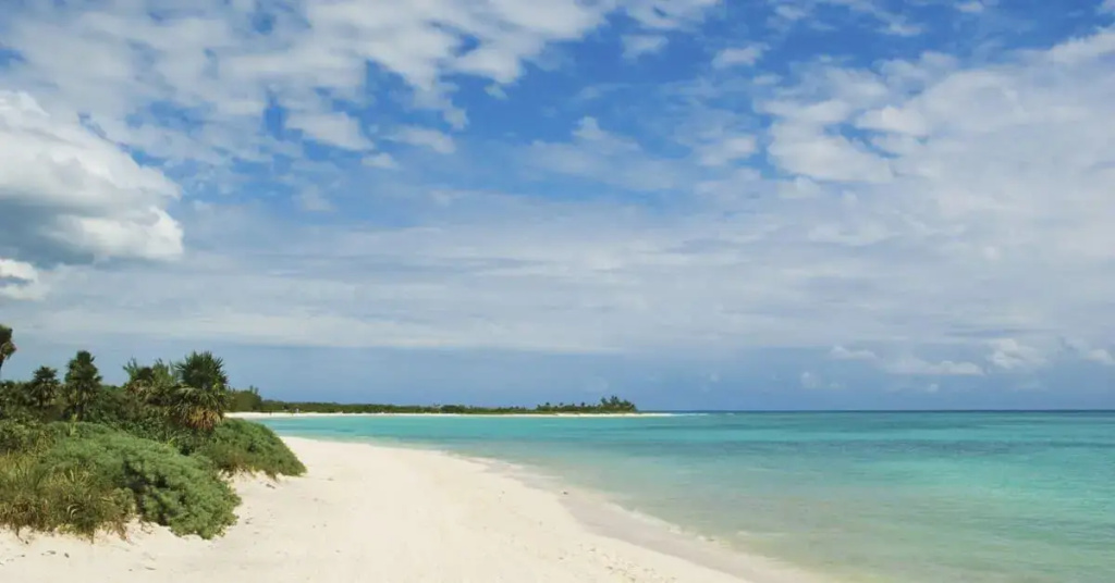 Beach & Waterfront