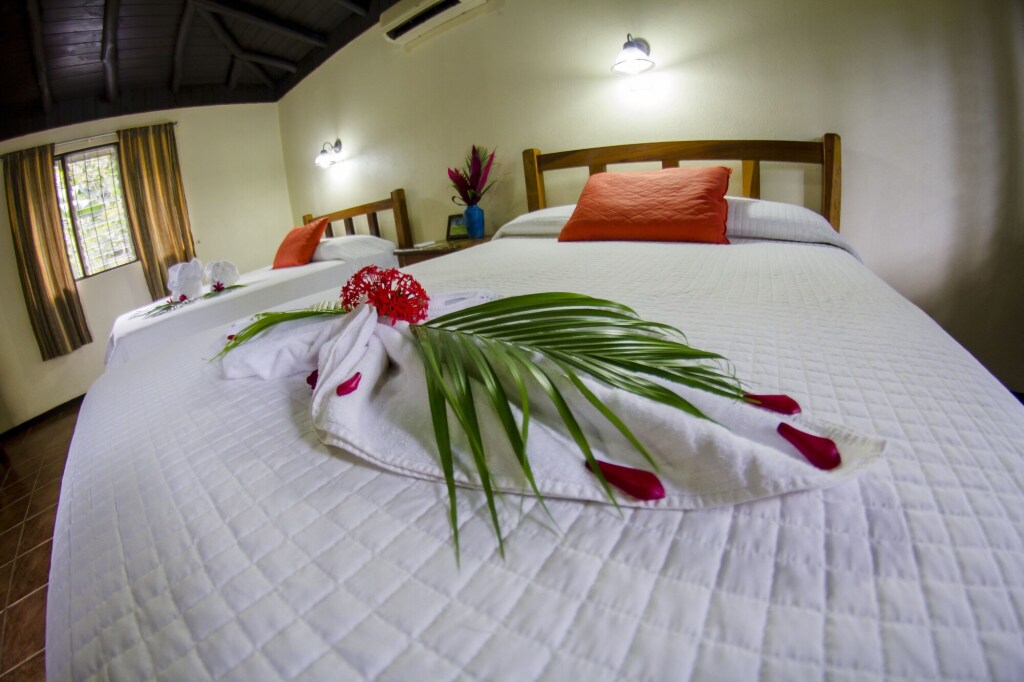 Cañon de la Vieja Lodge by null