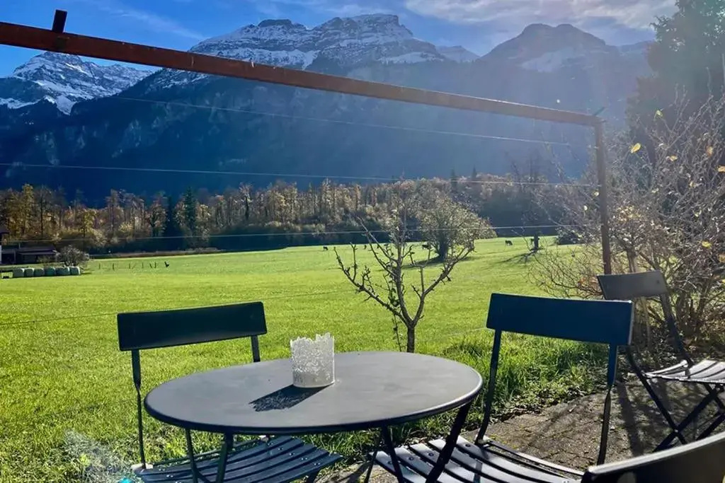 Hotel Alpenrose beim Ballenberg - Général