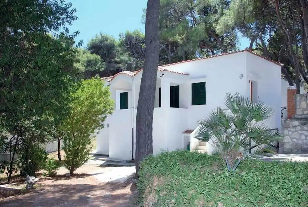 Comfort Apartment