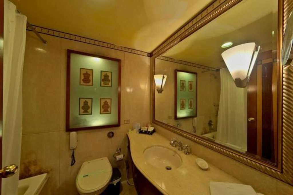 Hotel Hindusthan International - Général