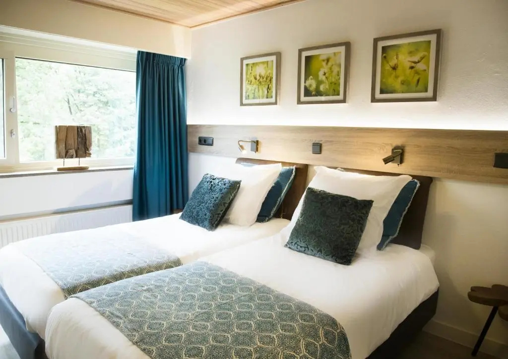 Comfort Double room (twin beds)