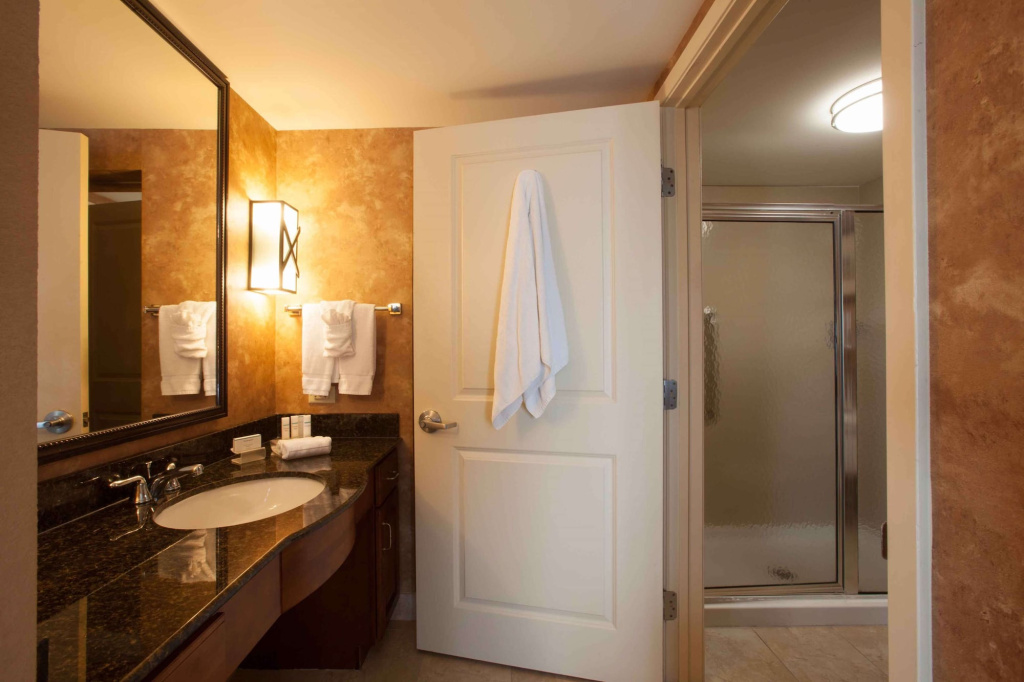 Homewood Suites by Hilton San Antonio North - Général
