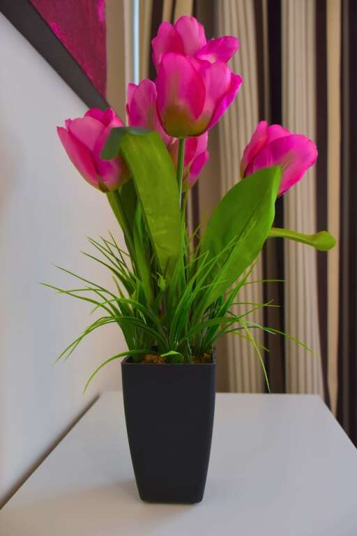 gallery_image_hidden_15