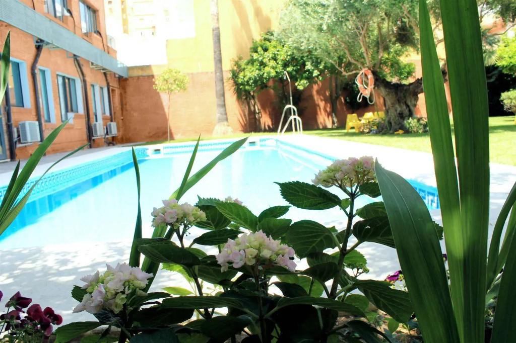 Hotel AACR Monteolivos - Général