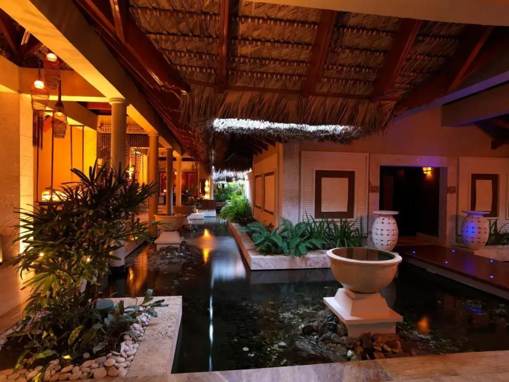 Zel Punta Cana, Баваро, Домініканська Республіка мініатюра 37