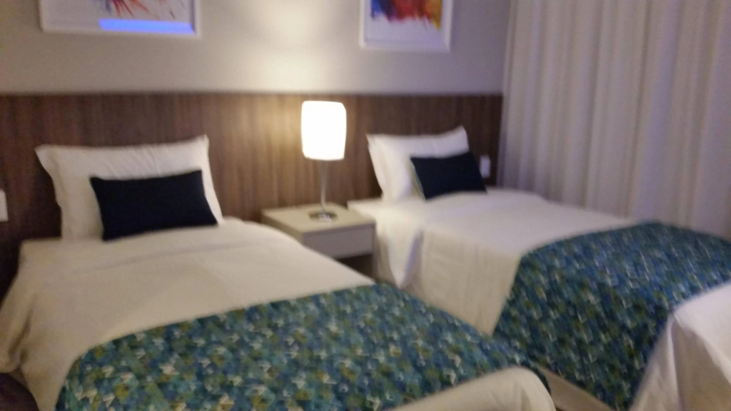 Tulip Inn Sete Lagoas - Général