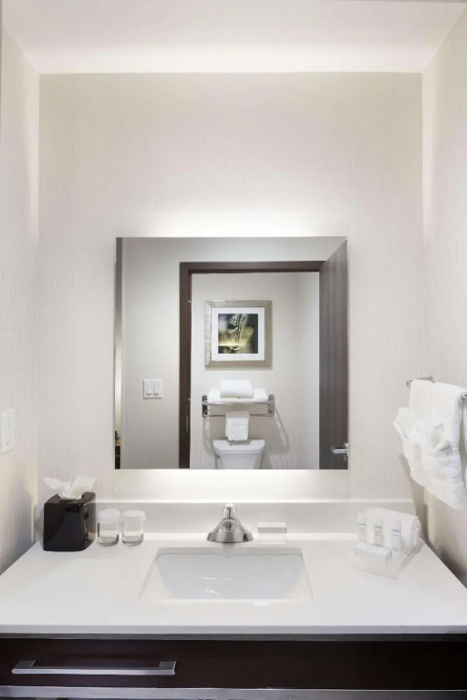 Homewood Suites by Hilton Houston / Katy Mills Mall - Chambres