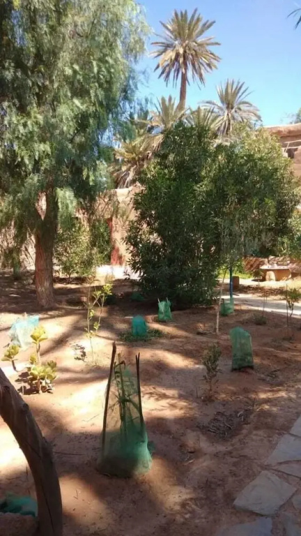 La maison saharaouie - Général