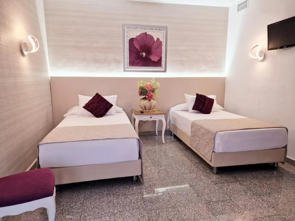Hotel Plaza del Castillo - Général