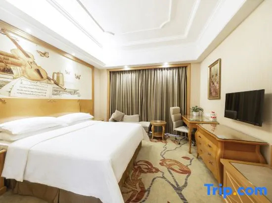 Vienna International Hotel Changsha Gaoqiao Branch - Chambres