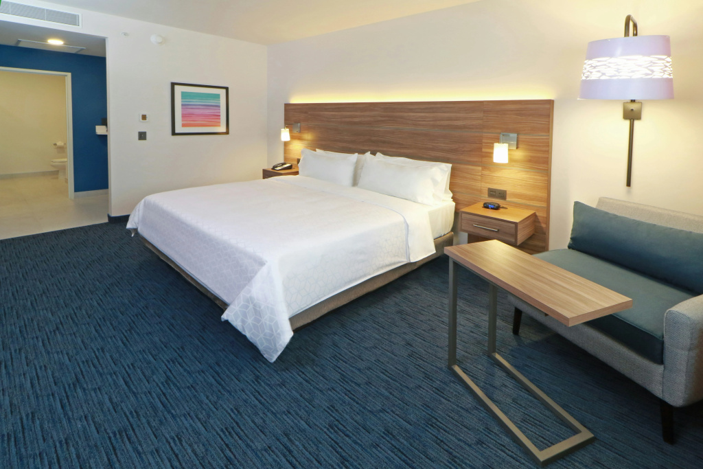 Holiday Inn Express San Luis Potosi by IHG - Général