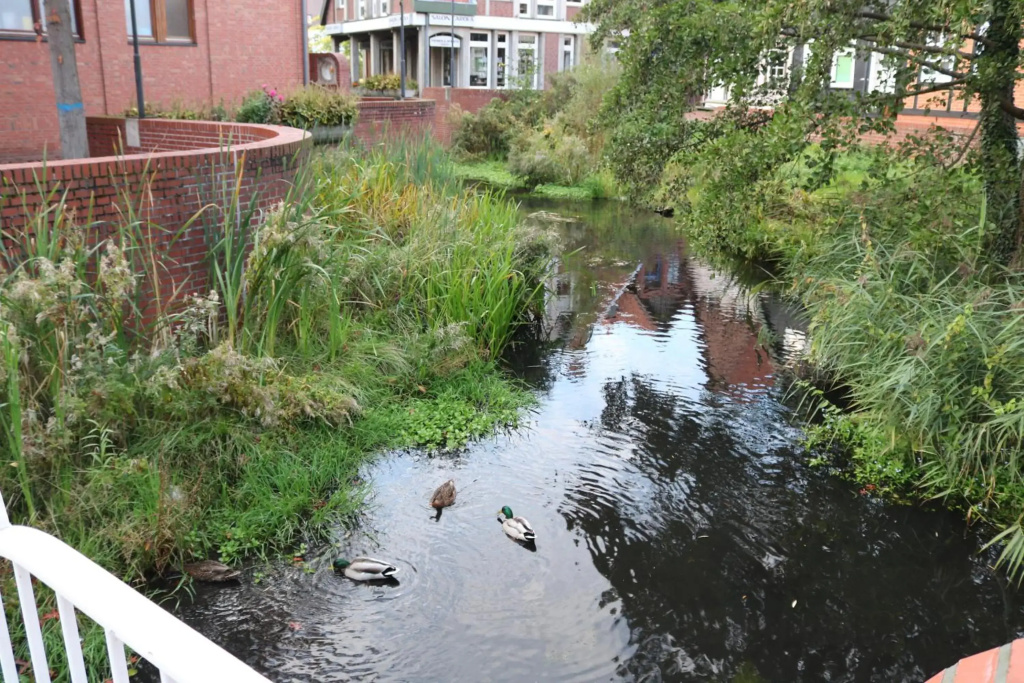 Hotel photo 30
