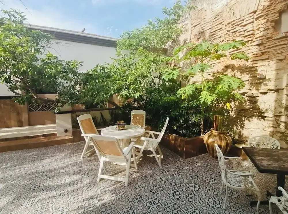 Black Tree Hotel Boutique