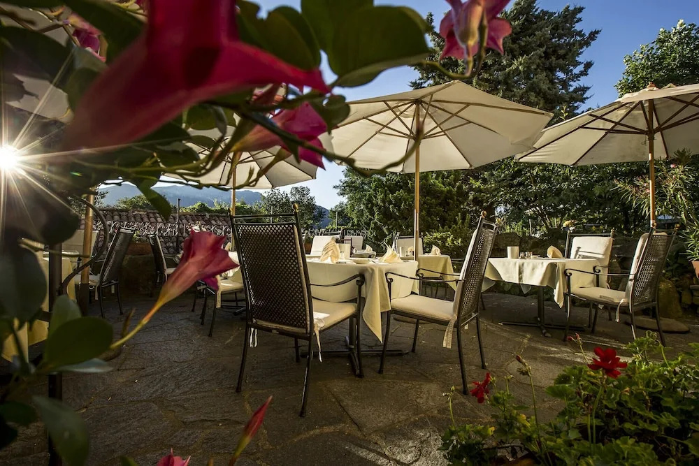 Swiss Historic Hotel Villa Carona - Général