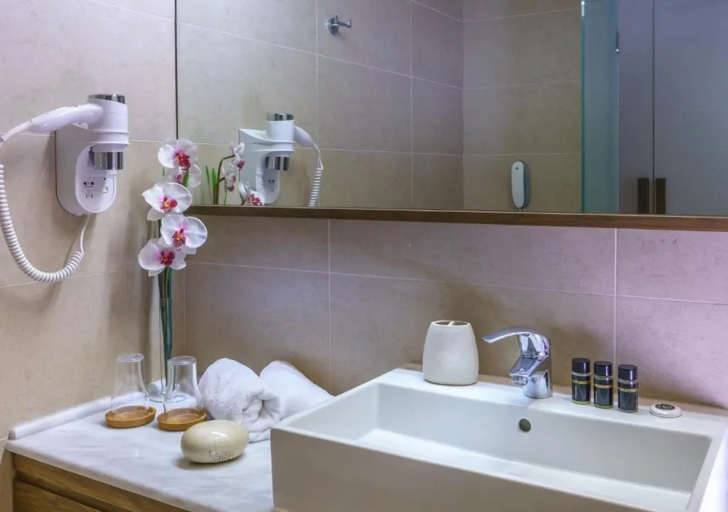 Superior Double room with city view (twin beds)
