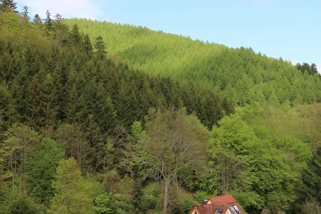 Sonnige 60m² Ferienwohnung Fur 5 Personen