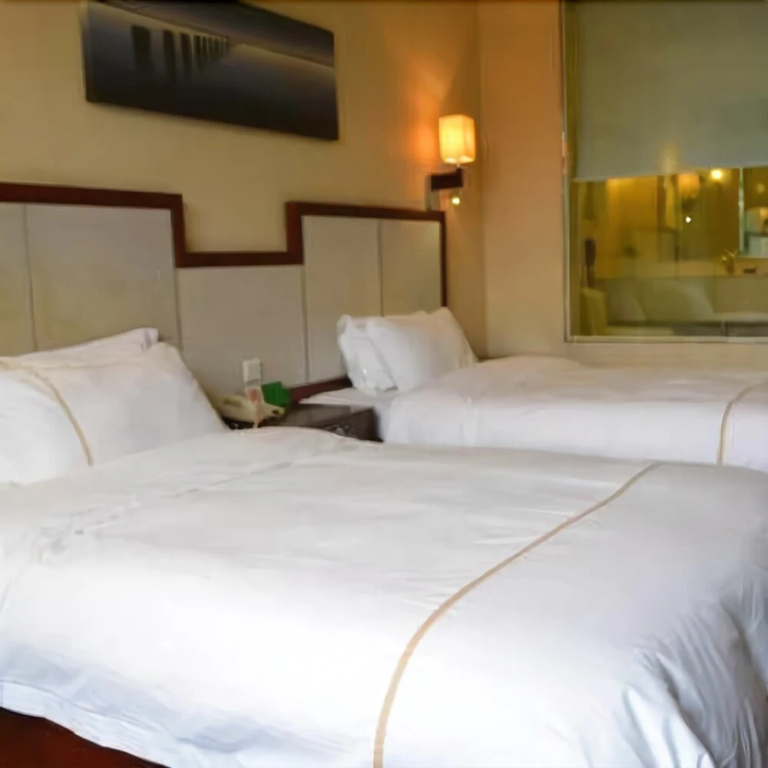 Shamian Hotel - Général