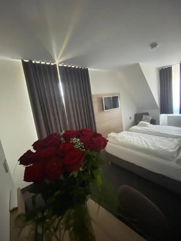 Hotel Prinz Albrecht - Général