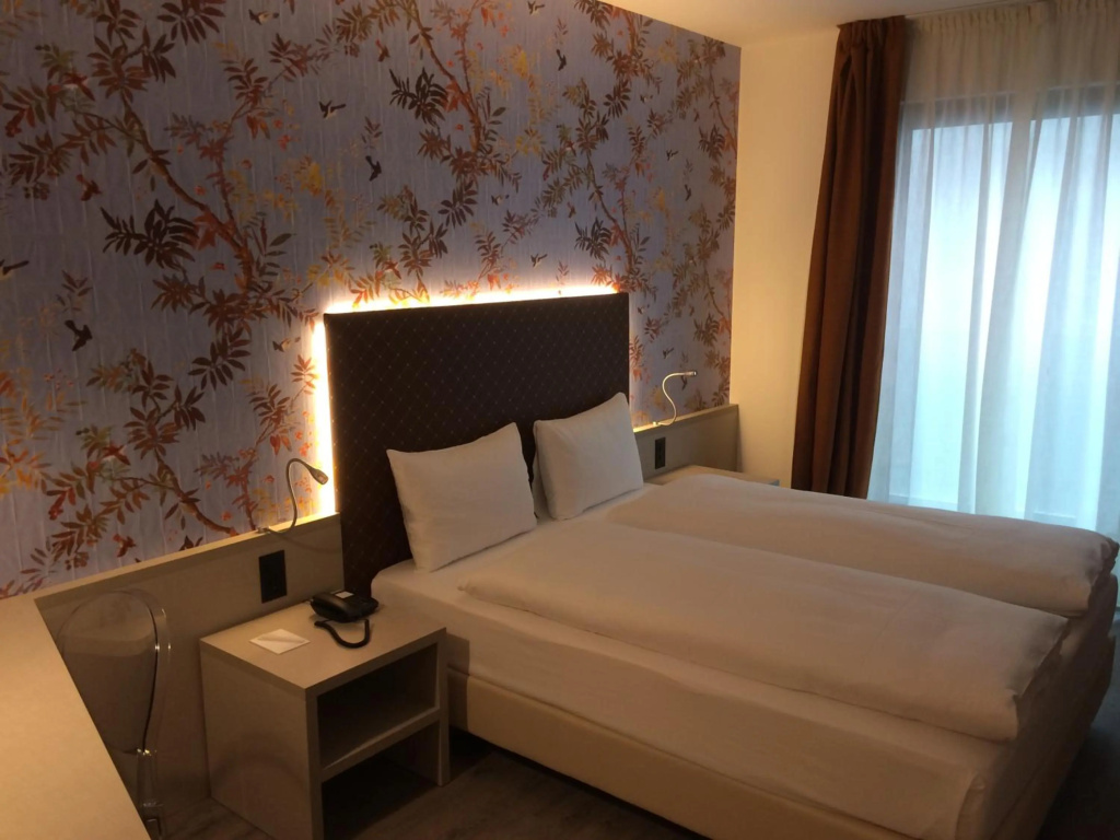 Hotel Internazionale Bellinzona - Général