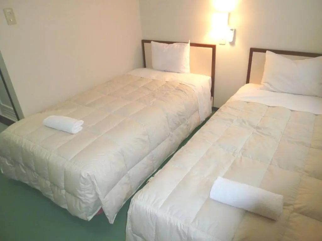 Standard Double room (twin beds)