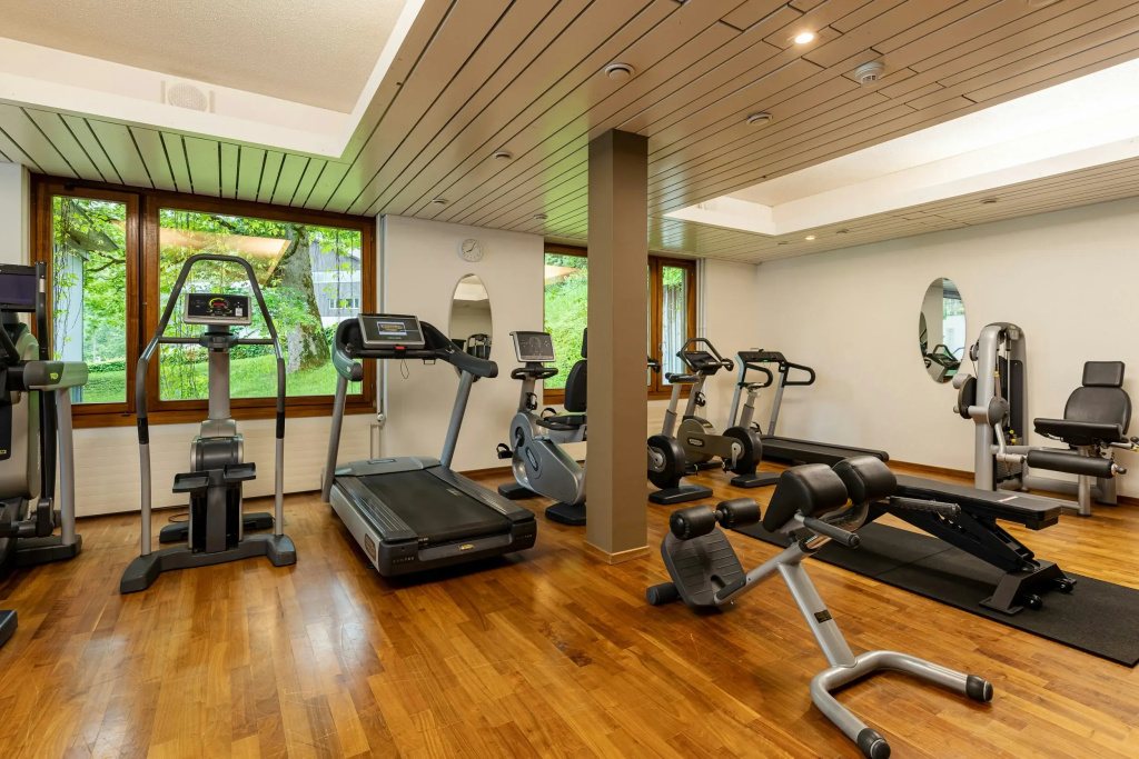 Lenkerhof Gourmet Spa Resort - Général