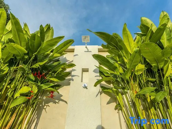 *Brand-New 4BR Villa – 10 Mins to Pier V124