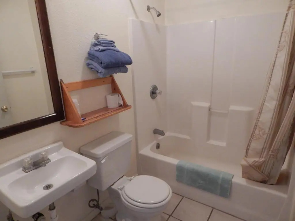Deluxe Double room (full double bed)