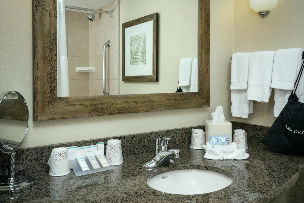 Hilton Garden Inn Seattle Issaquah - Général