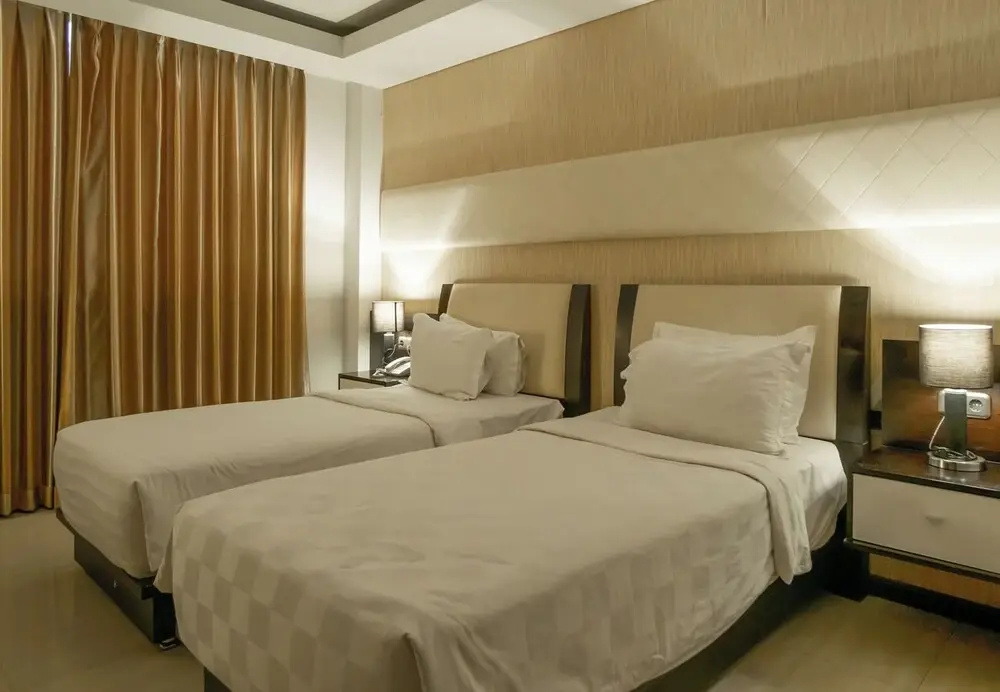 Standard Double room with city view (twin beds)