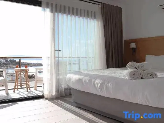 Standard Double room with balcony and with sea view (full double bed)