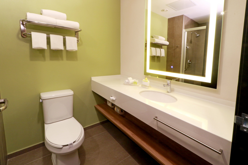 Holiday Inn San Luis Potosi Quijote by IHG - Général