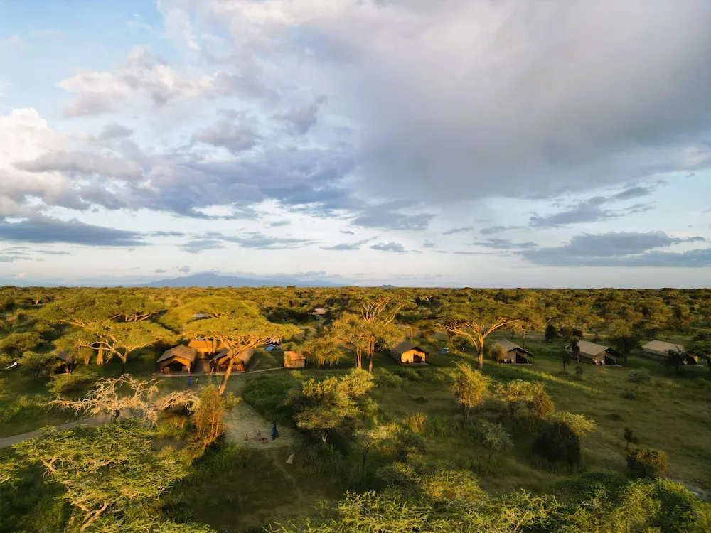 Africa Safari Ngorongoro Ndutu Camping
