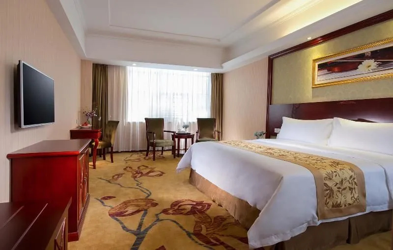 Vienna Hotel Shenzhen Railway Station - Général