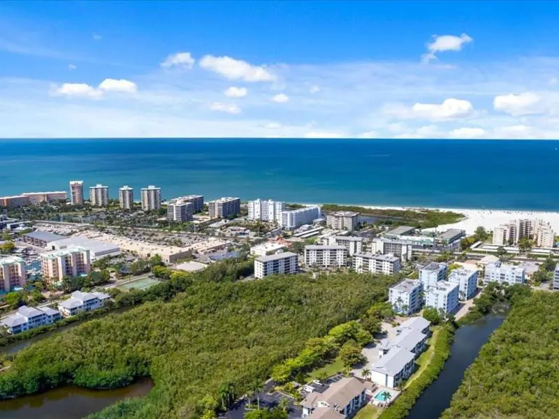 Palm Harbor #704