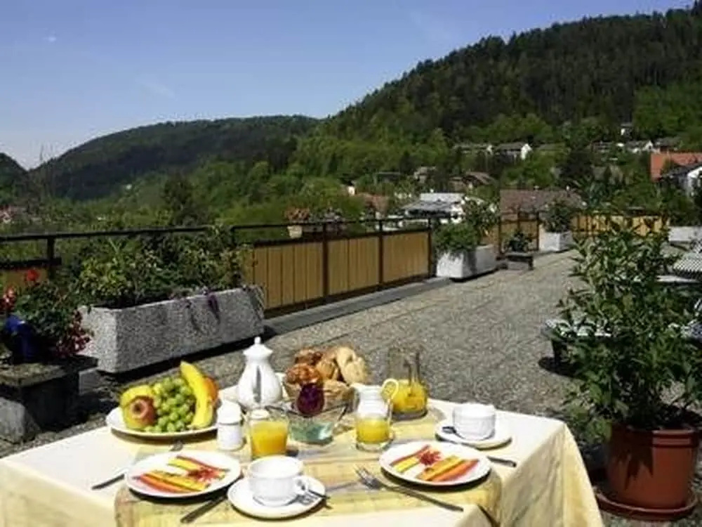 Hotel am Bad-Wald - Général