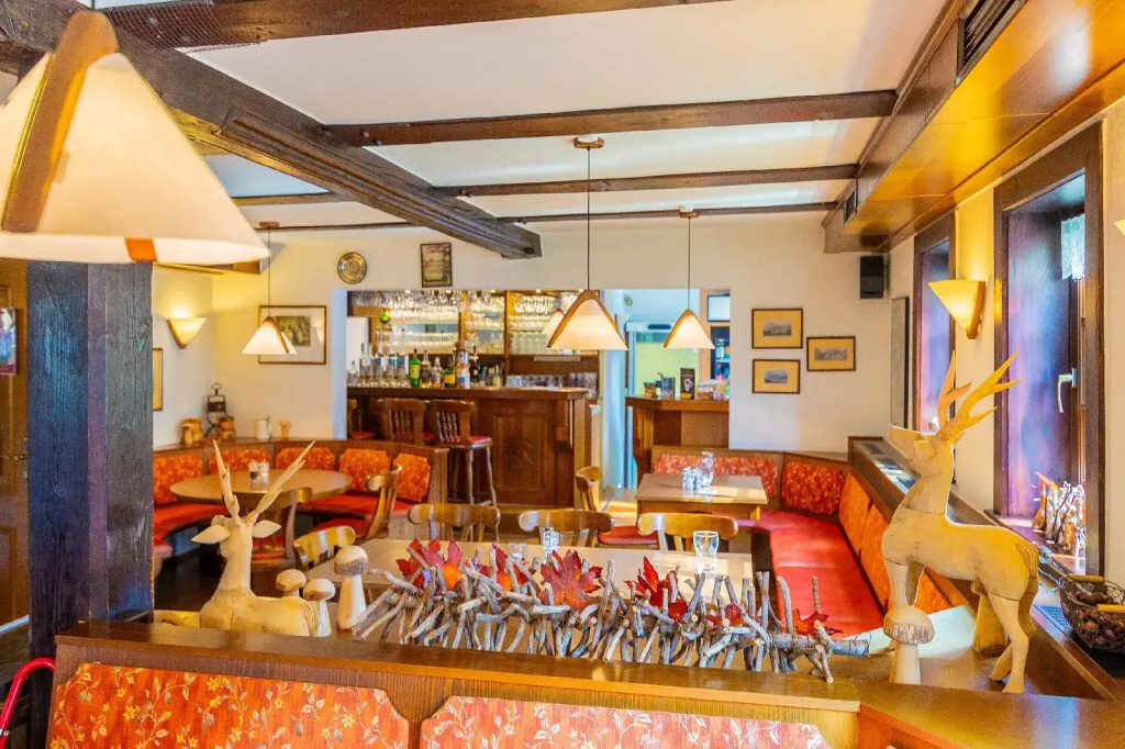 Gasthaus Goldener Hirsch - Général