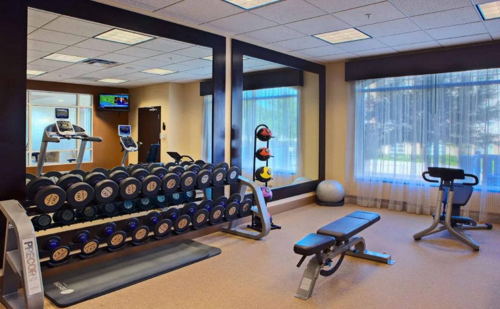 Hilton Garden Inn DFW North Grapevine - Général