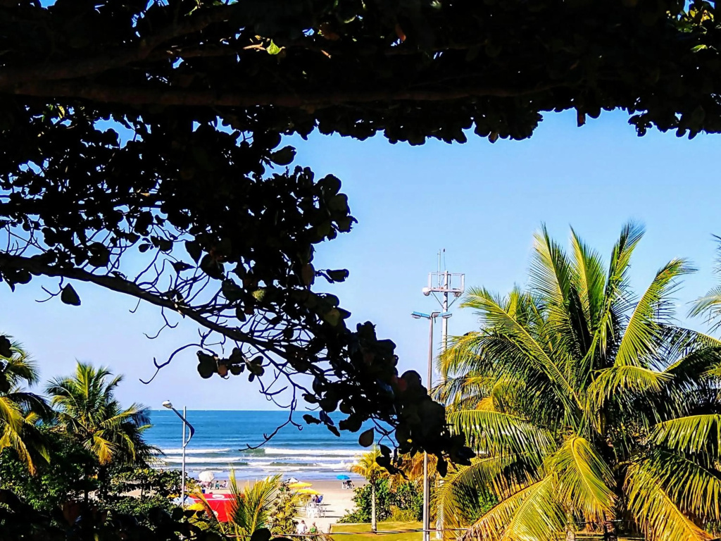 Apartamento Pé Na Areia