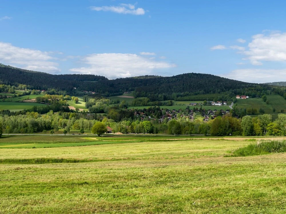 Am Hohen Bogen Arrach