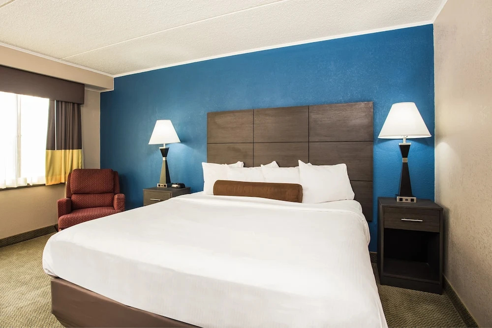 1 Bedroom Suite